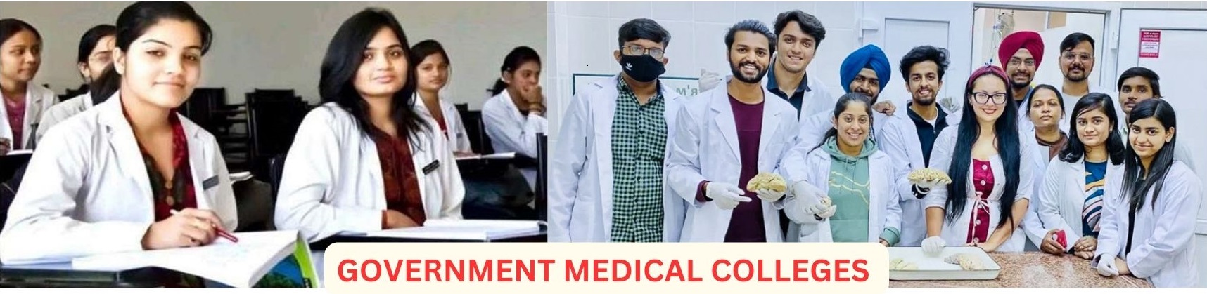 MBBS Govt College Fees 2024